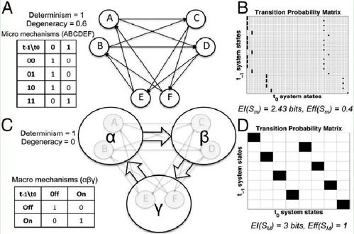 量化因果涌現(xiàn)表明 宏觀可以戰(zhàn)勝微觀